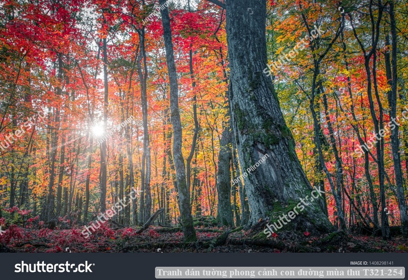 Tranh dán tường phong cảnh hồ thác, cây cối T321-536